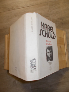 Karel Schulz -Kámen a bolest (96620)